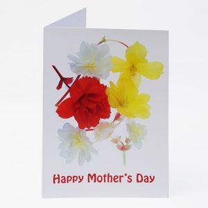 Carte fête des Mères – Begonia Flowers - Blank Inside – Complete with Envelope - Exclusivement vendu par AM Fine Art GB