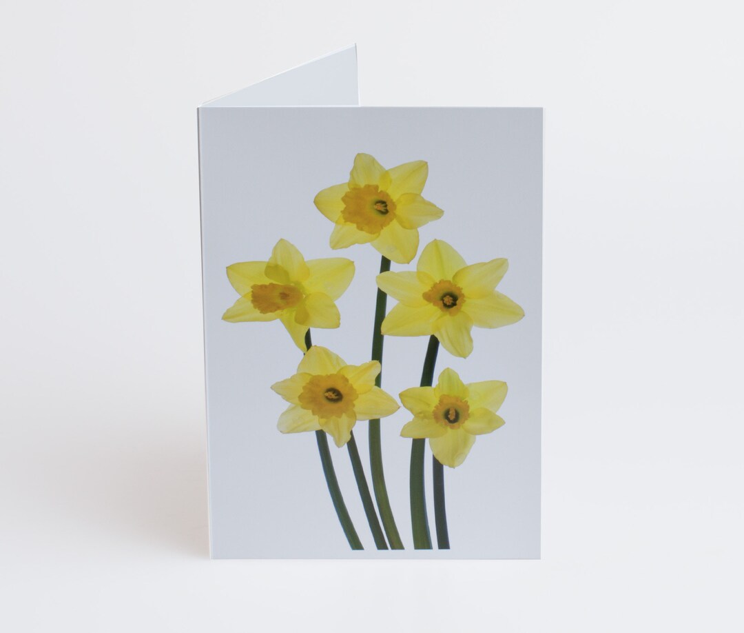 Daffodil Thank You Cards - Set of 5 Floral Notelets - Etsy