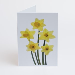 Florecitas - Notas - Tarjetas de agradecimiento - Paquete de 5 con sobres - Narcisos 5 - Interior en blanco - Vendido exclusivamente por AM Fine Art GB