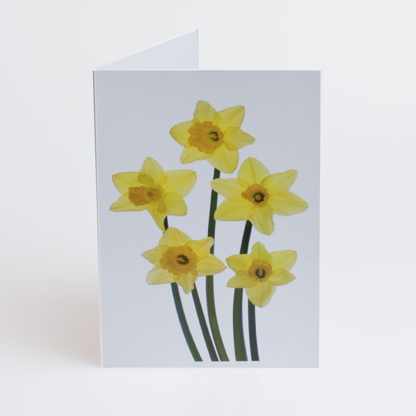Flowerlets - Notelets – Thank you Cards - Pack of 5 with Envelopes - Daffodils 5 - Blank Inside - Sold exclusively by AM Fine Art GB