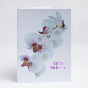 Orchidee Geburtstagskarte für Sie