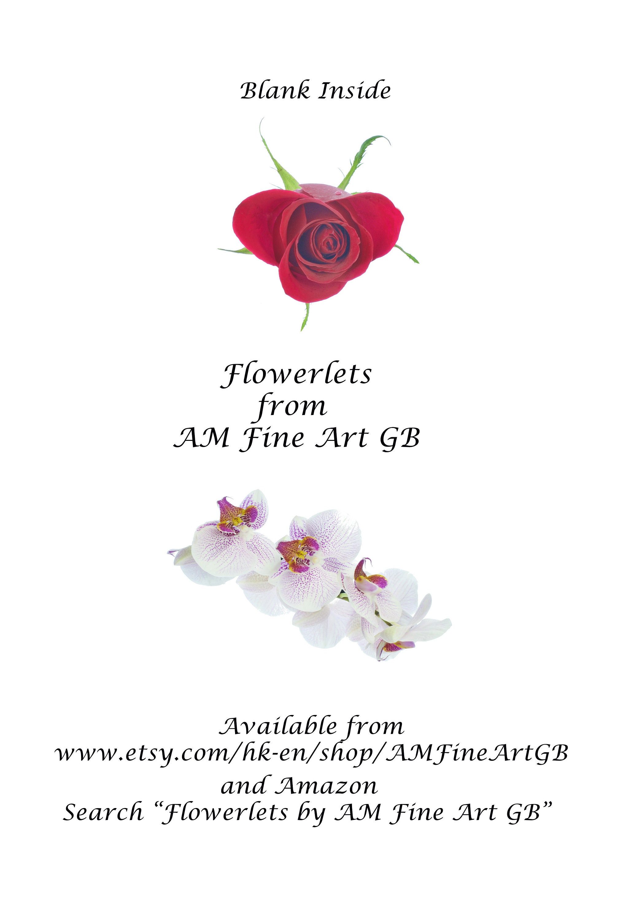 Flowerlets Notelets Thank You Cards Pack of 5 With Envelopes Mini ...