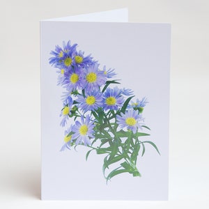 Florecitas - Notas - Tarjetas de agradecimiento - Paquete de 5 con sobres - Margarita de Michaelmas - Interior en blanco - Vendido exclusivamente por AM Fine Art GB