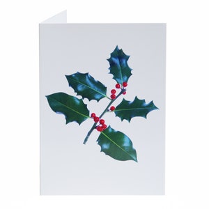 Tarjetas de agradecimiento navideñas - Paquete de 5 con sobres - Acebo - Interior en blanco - Vendido exclusivamente por AM Fine Art GB