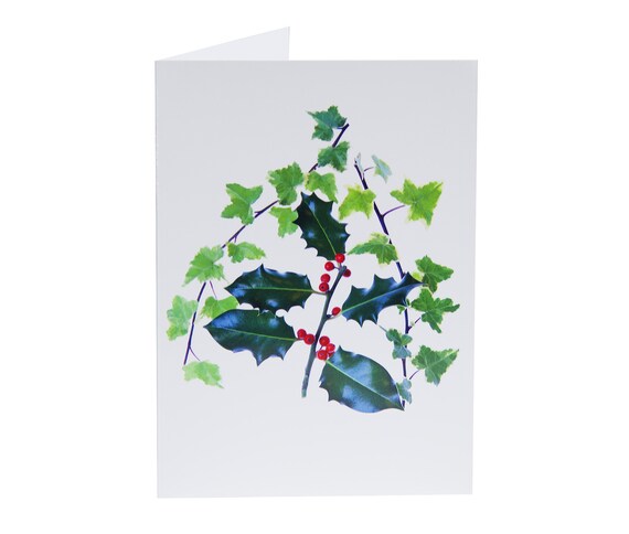 Hallmark Dankeskarten Mit Kardinal-Motiv – 20 Karten Mit Umschlägen Für Weihnachten & Winter