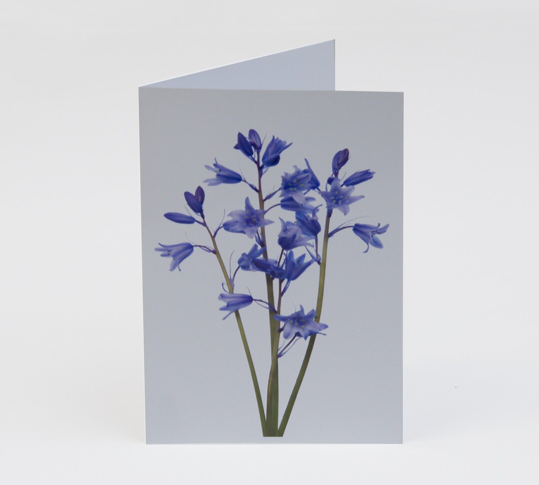 Bluebells Note Cards - Floral Thank You Cards, Pack of 5 - Etsy