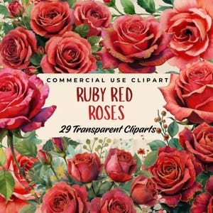 Peut inclure: Une collection de roses rouge rubis avec des accents dorés et des feuilles vertes. L'image comprend une bannière avec le texte "Commercial Use Clipart" et "Ruby Red Roses, 29 Transparent Cliparts".
