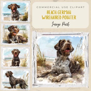 May include: Digital art image pack featuring a Beach German Wirehaired Pointer. The image pack includes multiple illustrations of the dog on a beach, with a watercolor style. The dog has brown and white fur.