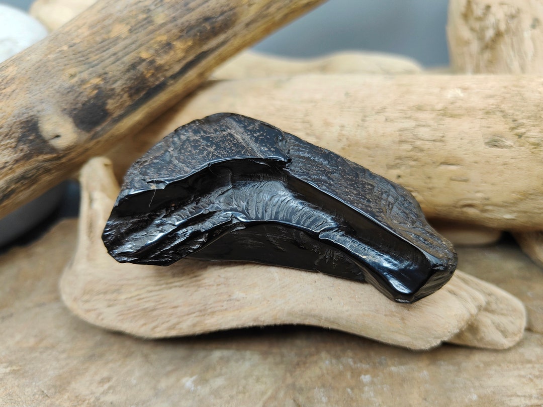 Whitby Jet Natural Whitby Jet Rough Whitby Jet Jet Stone Jet Palm Stone Jet Fossil Collectable