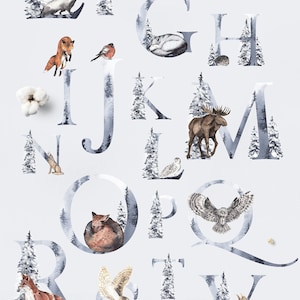 FOREST LETTERS watercolor alphabet Winter Storytelling Woodland animals wild illustrations monogram mystery Christmas Digital PNG clipart