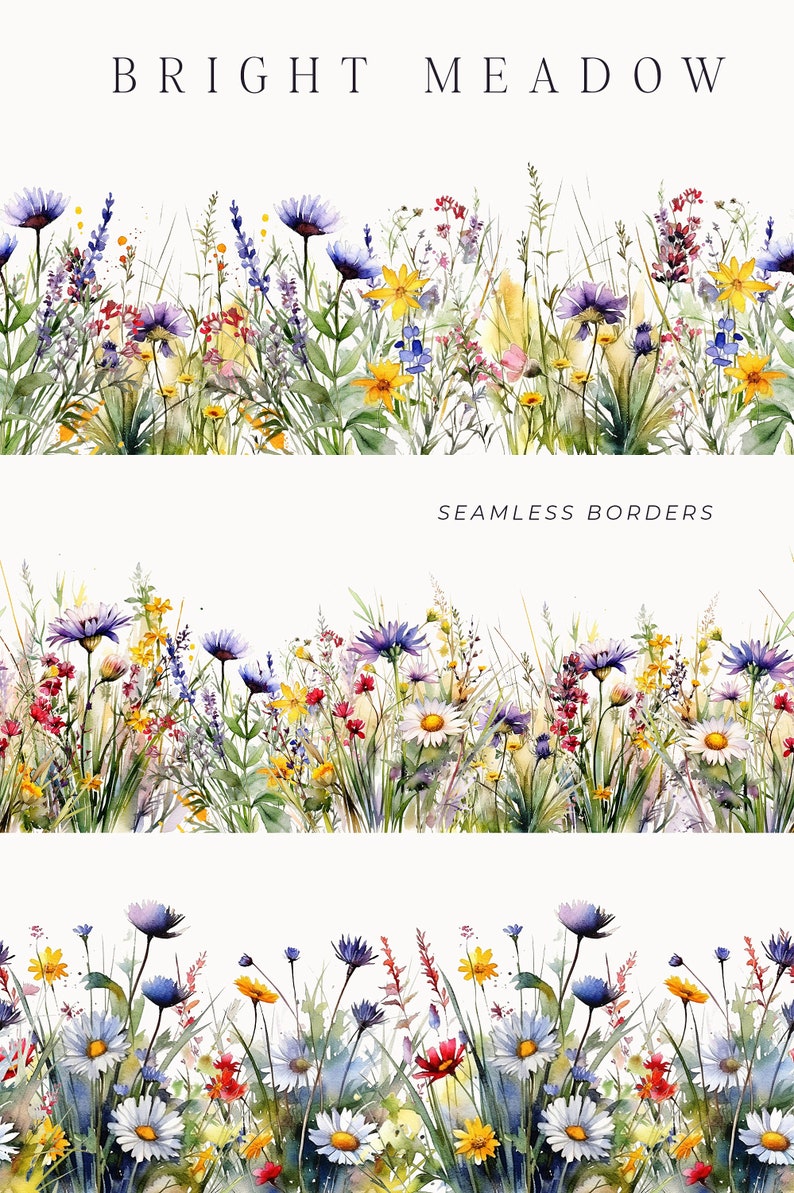 Watercolor Floral Clipart Wildflowers floral clipart Floral border set Meadow Flowers png spring summer flowers Digital clipart PNG image 5