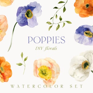 Clipart de papoulas aquarela png - clipart de flores de papoula brilhantes - clipart floral de primavera - clipart de cartão de convite de casamento - clipart digital PNG