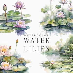 Clipart de nenúfares em aquarela png - Lagoa de nenúfares em aquarela - Esboço de paisagem natural de lagoa em aquarela - Nenúfar - Clipart digital PNG
