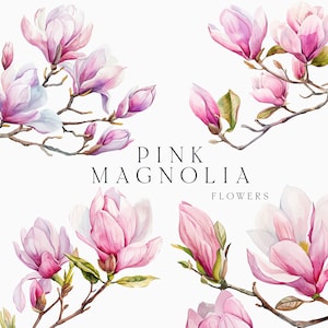Watercolor Magnolia Clipart - Watercolor Floral clipart png - Pink magnolia flowers twigs clipart png - Magnolia wreaths frames clipart PNG