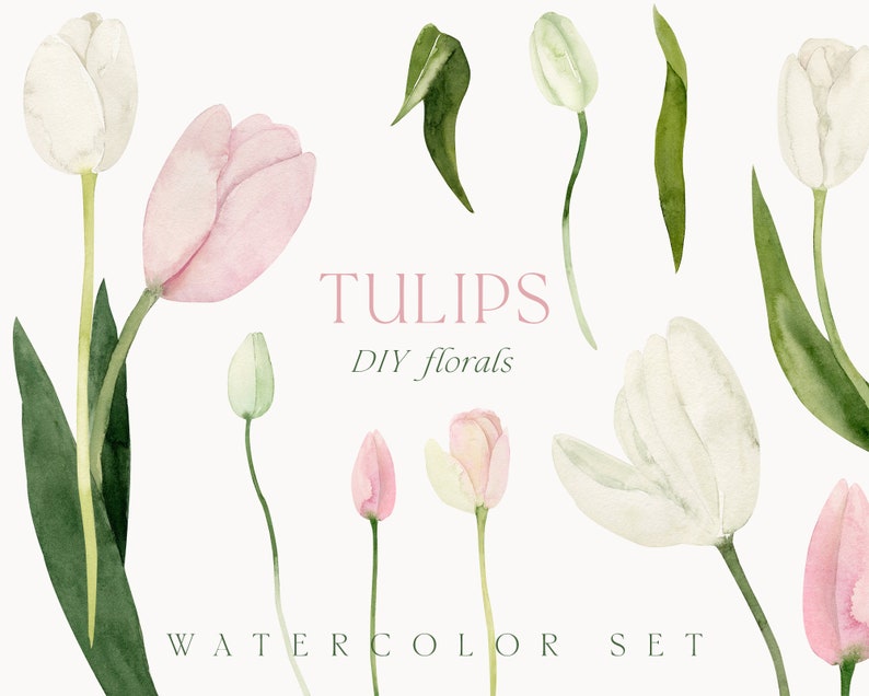 Clipart de tulipes aquarelle png clipart de fleurs de tulipe rose blanc clipart floral de printemps clipart de carte d'invitation de mariage clipart numérique PNG image 1