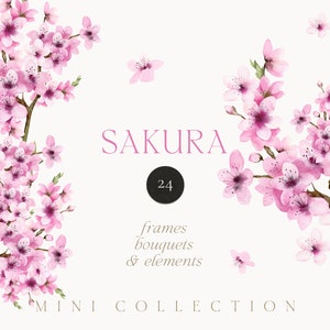 Watercolor Sakura png clipart - Cherry blossom flowers clipart - Spring floral clipart - Wedding invite card clipart - Digital PNG clipart