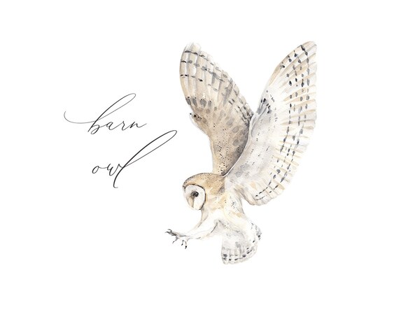 Download Owls Painting Owl Clipart Printable Watercolor Watercolor Woodland Clipart Art Collectibles Drawing Illustration Kromasol Com
