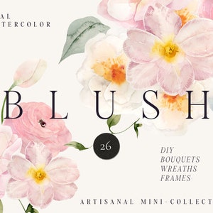 BLUSH fiori clipart png, png clipart floreale dell’acquerello, invito ghirlanda floreale rosa neutro primavera estate, clipart PNG digitale