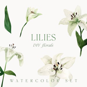 Aquarell Lilien png Clipart - weiße Lilie Blumen Clipart - Frühling Blumen Clipart png - Einladung Karte Clipart - Digital PNG Clipart