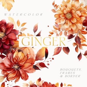 Flores de outono em aquarela - clipart de outono - clipart de flores vermelhas de gengibre png - buquês florais de outono em aquarela - uso comercial de clipart floral
