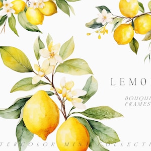 Clipart di limone dell'acquerello - PNG di limoni dell'acquerello - Clipart ramoscello di limone - Ghirlanda di limone - Fiori di limone - Clipart floreale - Clipart digitale PNG