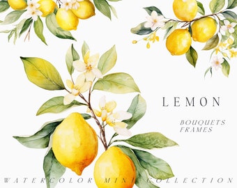 Watercolor Lemon clipart - Watercolor lemons png - Lemon twig clipart - Lemon wreath - Lemon flowers - Floral clipart - Digital clipart PNG