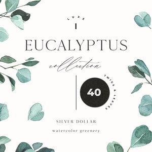 Eucalyptus watercolor set - Greenery clipart - Foliage set - Green leaves - Greenery frame - Modern wedding floral invite card Digital PNG