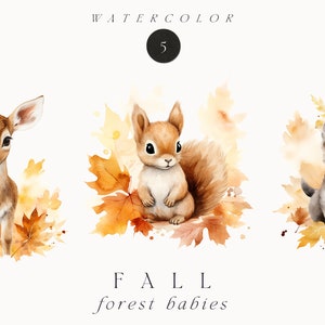 Aquarell Herbst Clipart - Herbst Waldtiere Baby Tiere Clipart - Herbst Clipart png - Baby Waldtiere im Herbst Blätter - Kommerzielle Nutzung png