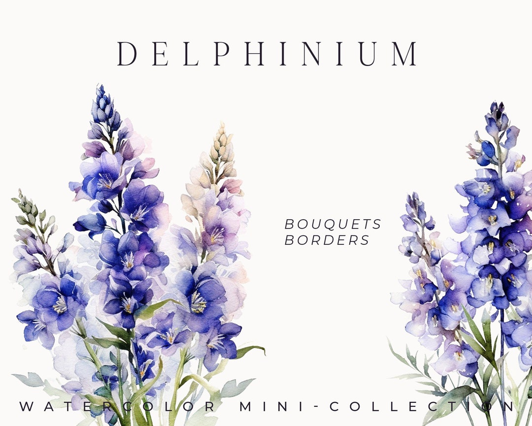 Watercolor Floral Clipart - Watercolor Delphinium Flowers Clipart Png ...