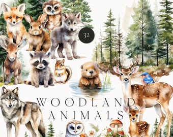 Woodland Animals clipart - Watercolor Forest Animals png - Wild Woodland Babies - Animals babies - Forest clipart png - Deer Fox Wolf Bear