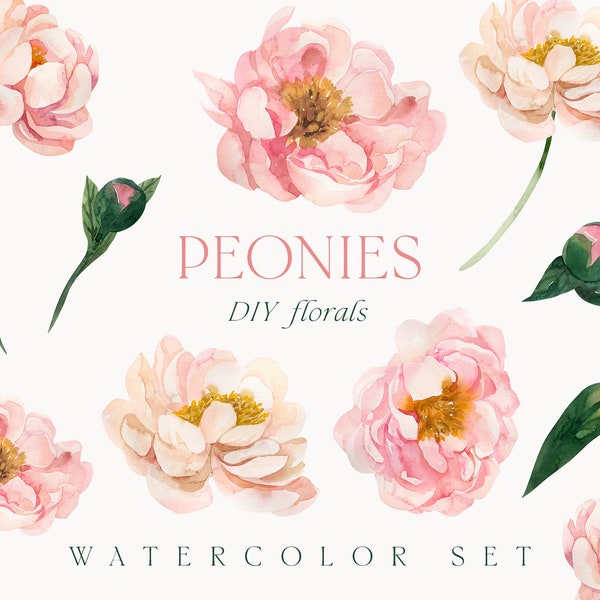 Watercolor Peonies png clipart - Peony flowers clipart - Romantic Spring floral clipart - Wedding invite card clipart - Digital PNG clipart