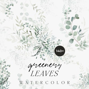 Grünpflanzen Aquarell Clipart - Grüne Blätter Clipart - Aquarell Blätter - Luftiges Laub - Aquarell Grün umrahmt Kränze - Digital PNG
