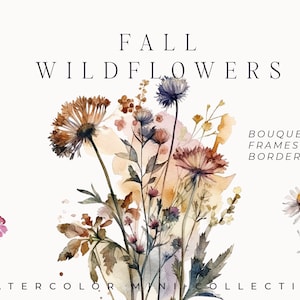 Clipart floral aquarela - Flores silvestres de outono - Clipart floral de outono - Conjunto de borda floral - Flores silvestres de prado de outono - Clipart digital PNG