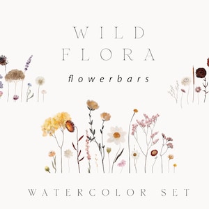 Clipart di fiori di campo dell'acquerello - Flowerbar floreale - Clipart con bordi floreali essiccati per il logo della carta di invito al matrimonio - Clipart PNG digitale