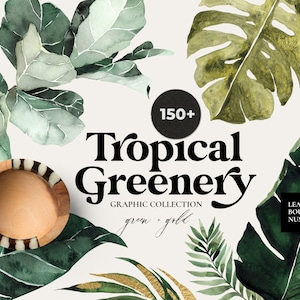 Imágenes prediseñadas de vegetación tropical - Hojas tropicales de acuarela - Hojas doradas - Hojas verdes - Letras con patrones de marcos tropicales - Imágenes prediseñadas digitales PNG