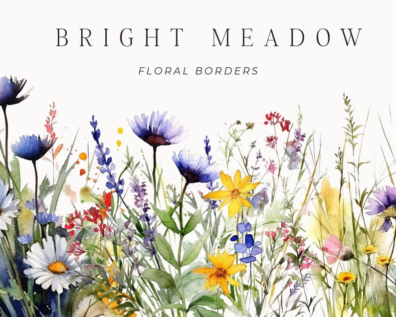 Watercolor Floral Clipart Wildflowers floral clipart Floral border set Meadow Flowers png spring summer flowers Digital clipart PNG image 6