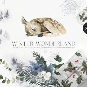 Winter Weihnachten Aquarell Clipart - Winter Wald Baby Tiere - Weihnachten Hirsche - Weihnachten Blumenrahmen Karten Muster - Digital PNG