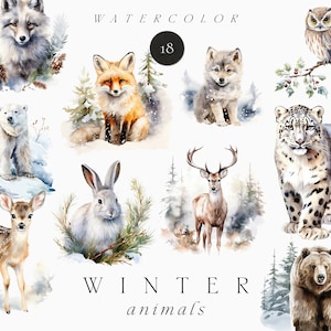 Clipart de animais em aquarela - clipart de animais de inverno png - animais da floresta - clipart de animais bebês - clipart de animais do Ártico - animais da floresta
