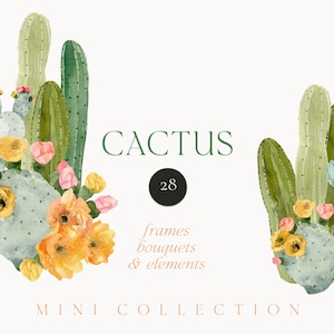 Clipart de flores de cacto aquarela png - Clipart floral de cacto do deserto png - Flor de cacto - clipart de cartão de convite - clipart digital PNG