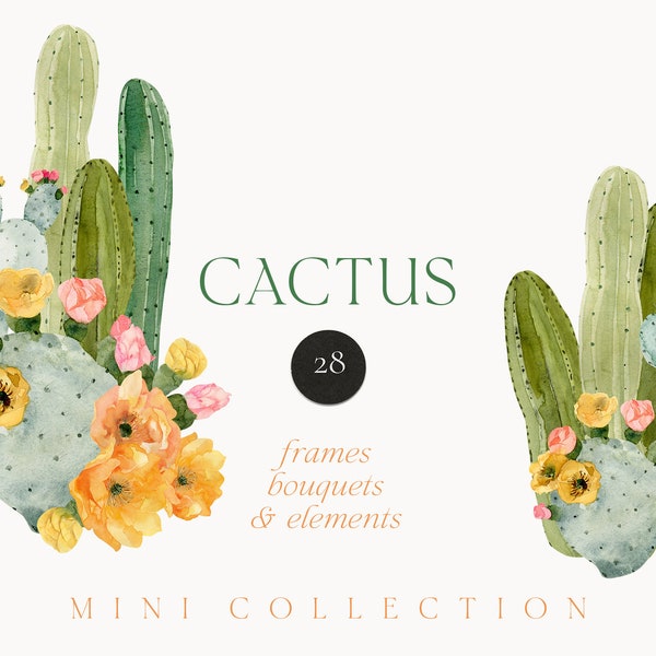 Watercolor Cactus flowers png clipart - Desert cactus floral clipart png - Cactus blossom - invite card clipart - Digital PNG clipart