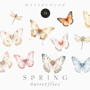 Aquarell Frühling Clipart png - Frühlingsschmetterlinge - Aquarell Schmetterling Clipart png - Libelle Clipart png - Kommerzielle Nutzung Clipart PNG