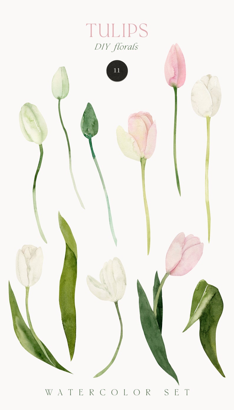 Clipart de tulipes aquarelle png clipart de fleurs de tulipe rose blanc clipart floral de printemps clipart de carte d'invitation de mariage clipart numérique PNG image 3