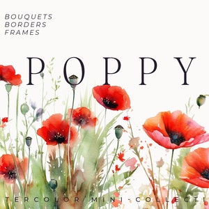 Watercolor Poppy Floral Clipart - Red poppies clipart png - Abstract red flowers png - Watercolor poppy bouquets set - Digital clipart PNG