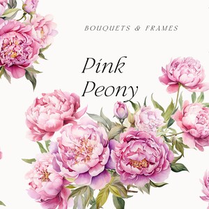 Clipart de peônia rosa aquarela - clipart floral aquarela - clipart de buquês de flores de peônia rosa png - grinaldas de peônia - clipart digital PNG