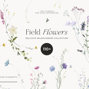 Field Flowers clipart png - Wildflowers watercolor clipart png - Tiny flowers - Dainty delicate floral frame wreath - Digital clipart PNG