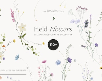 Field Flowers clipart png - Wildflowers watercolor clipart png - Tiny flowers - Dainty delicate floral frame wreath - Digital clipart PNG