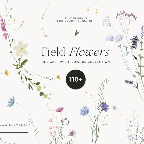 Feld Blumen Clipart png - Wildblumen Aquarell Clipart png - Winzige Blumen - Zierlicher floraler Rahmenkranz - Digital Clipart PNG