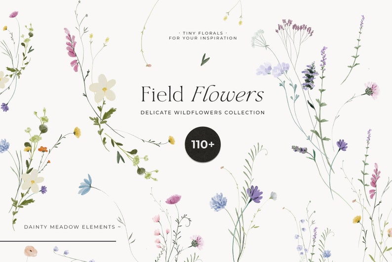 Field Flowers clipart png Wildflowers watercolor clipart png Tiny flowers Dainty delicate floral frame wreath Digital clipart PNG image 1