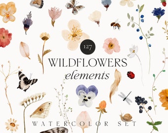 Watercolor Floral Clipart - Wild Flowers Clipart - Dainty Flowers - Dried Tiny Pressed flowers butterfly clipart invite logo - Digital PNG