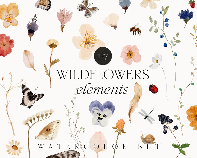 Watercolor Floral Clipart Wild Flowers Clipart Dainty Flowers Dried Tiny Pressed flowers butterfly clipart invite logo Digital PNG image 1